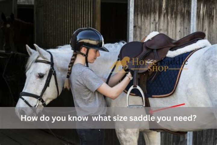 What size saddle do I need for a pony?