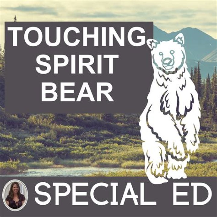 What type of writing is touching spirit bear?