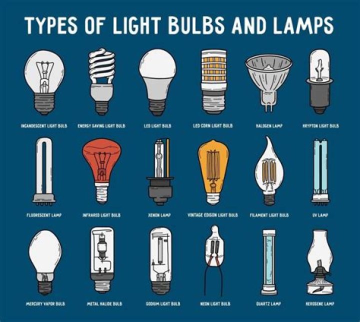 What types of light bulbs are there?