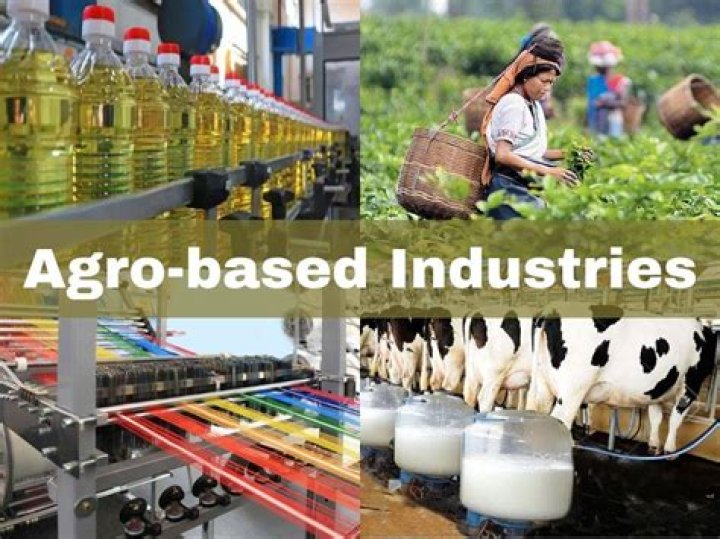 Where can I start agricultural business?