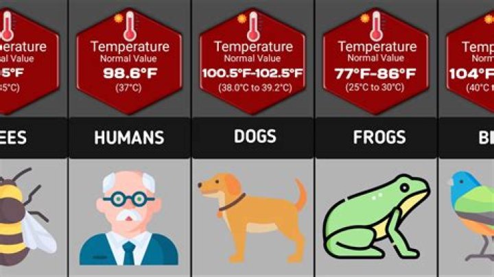 Which animals can regulate their body temperature?