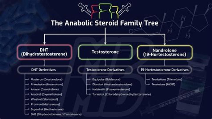 Which steroids are DHT derivatives?