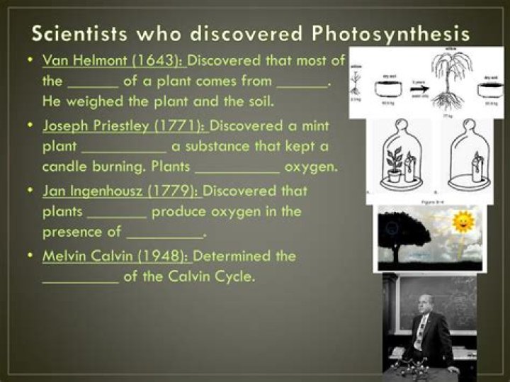 Who discovered photosynthesis?