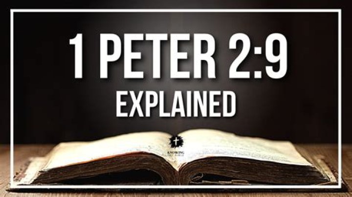 Who wrote 1peter 4?