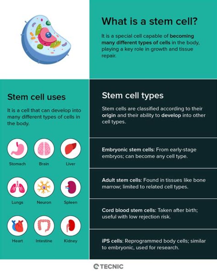 Why are stem cells collected