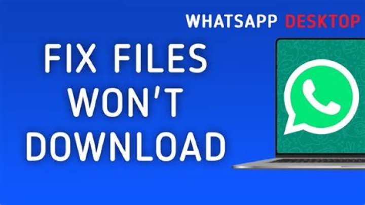 Why cant I download from WhatsApp?
