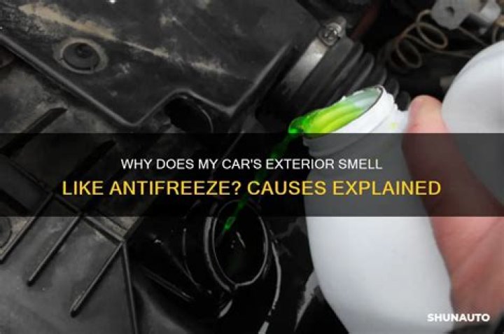Why do I smell antifreeze outside my car?