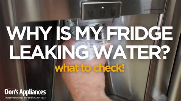 Why is my fridge leaking from the back?