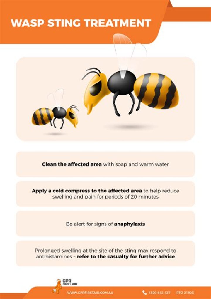 Will Wasps sting for no reason?