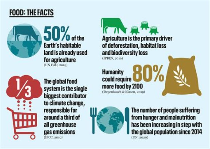 Would there be enough food if everyone was vegetarian?
